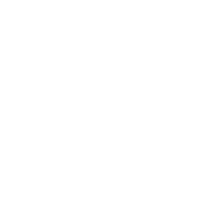 FR Logo Mark White