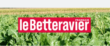 betteravier